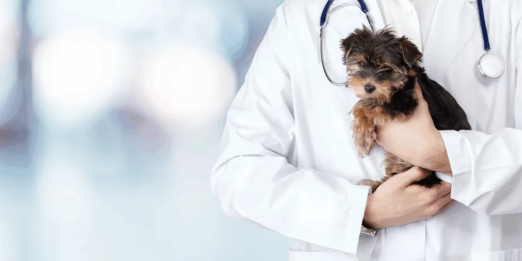 獣医師の皆様へ