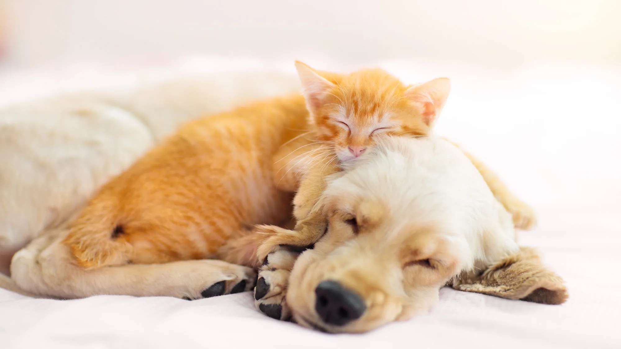 腫瘍科外来の概要特色